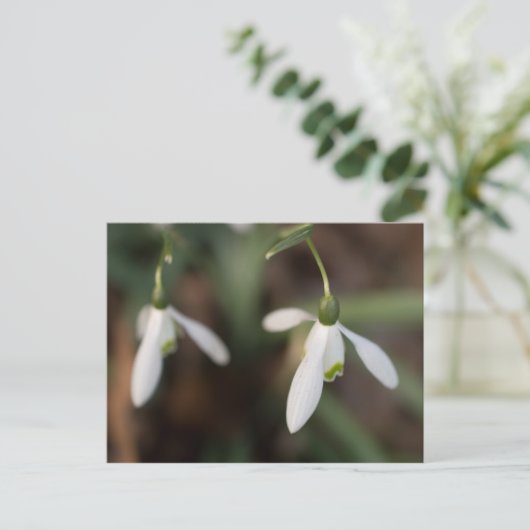 Snowdrop Flowers Briefkaart (Staand voorkant)