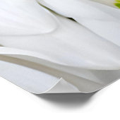 Snowdrop (Galanthus nivalis), boodschapper van de Poster (Hoek)