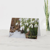 Snowdrop Gezegelde Imbolische Pagan Wiccan Greetin