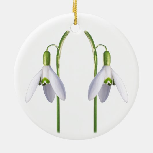 Snowdrop. Keramisch Ornament (Achterkant)