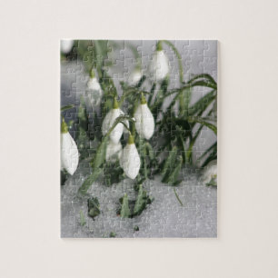 Snowdrop Legpuzzel