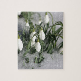 Snowdrop Legpuzzel