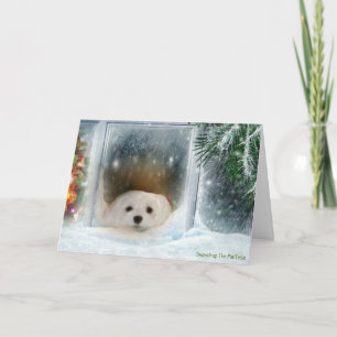 Snowdrop the Maltese Christmas Card Feestdagen Kaart