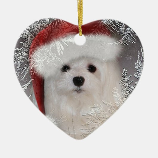 Snowdrop the Maltese Ornament (Voorkant)