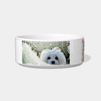 Snowdrop the Maltese Pet Bowl Voerbakje