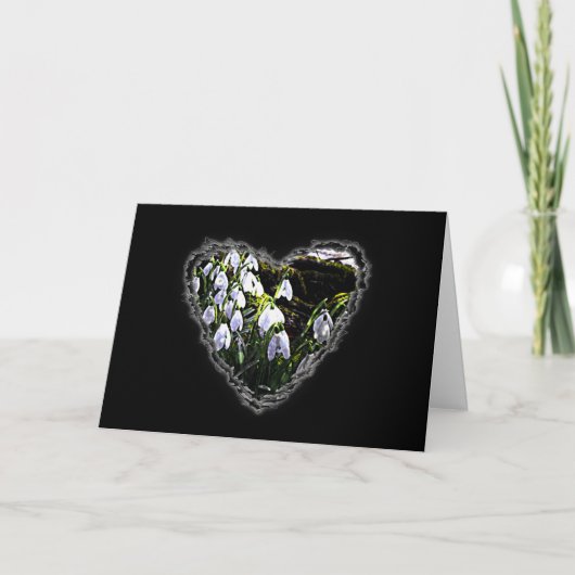 Snowdrop Valentijn Love Romance Kaart (Voorkant)