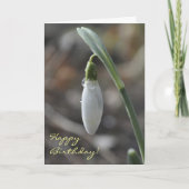 Snowdrop verjaardagskaart kaart (Voorkant)