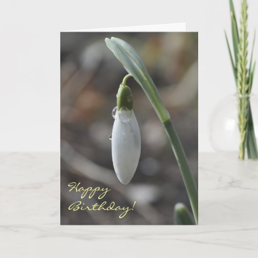 Snowdrop verjaardagskaart kaart (Voorkant)