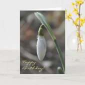 Snowdrop verjaardagskaart kaart (Gele Bloem)
