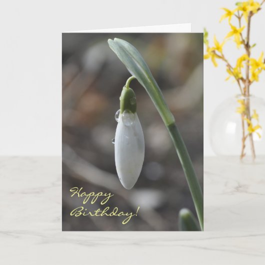 Snowdrop verjaardagskaart kaart (Gele Bloem)