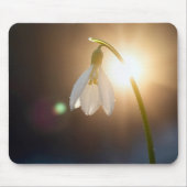 Snowdrop with Dewdrops in Sunlight Muismat (Voorkant)