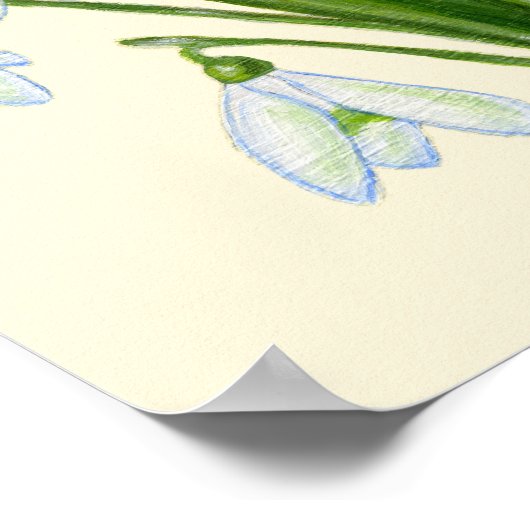 Snowdrops art print. poster (Hoek)