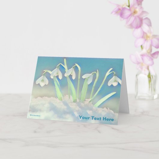Snowdrops Blue Kaart (Orchidee)