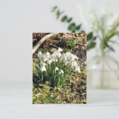 SNOWDROPS BRIEFKAART (Staand voorkant)