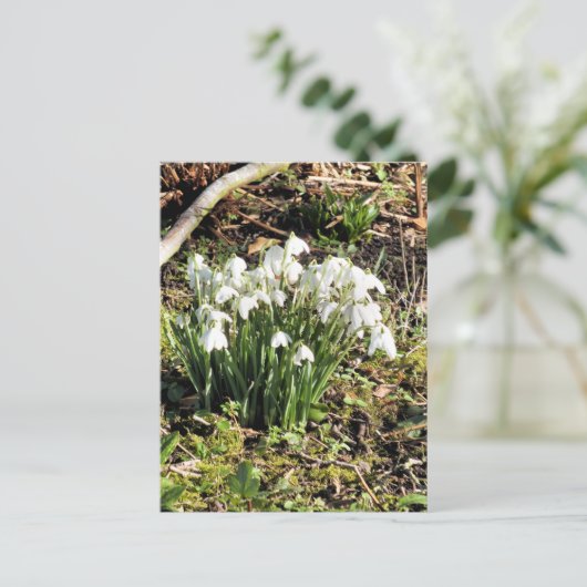 SNOWDROPS BRIEFKAART (Staand voorkant)