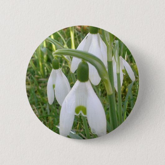 Snowdrops Button (Voorkant)