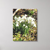 SNOWDROPS CANVAS AFDRUK (Voorkant)