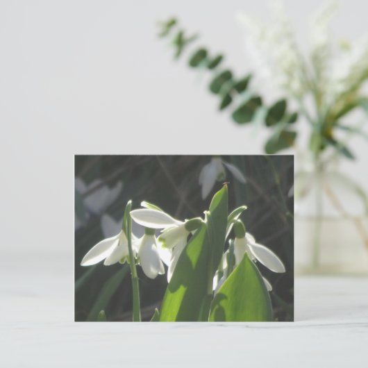 Snowdrops DIY Briefkaart (Staand voorkant)