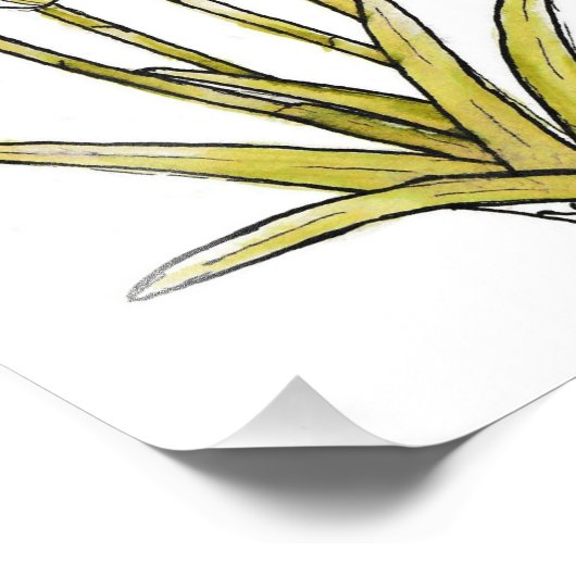 Snowdrops Foto Afdruk (Hoek)