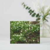 Snowdrops II (Galanthus) Spring Floral Briefkaart (Staand voorkant)
