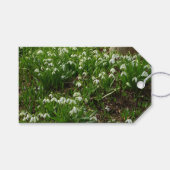 Snowdrops II (Galanthus) Spring Floral Cadeaulabel (Voorkant (Horizontaal))