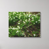 Snowdrops II (Galanthus) Spring Floral Canvas Afdruk (Voorkant)