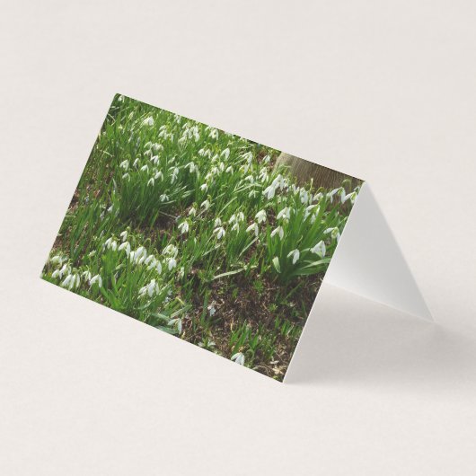 Snowdrops II (Galanthus) Spring Floral Kaart (Voorkant)