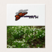 Snowdrops II (Galanthus) Spring Floral Kaart (Buitenkant ongevouwen)