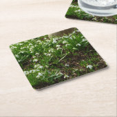 Snowdrops II (Galanthus) Spring Floral Kartonnen Onderzetters (Schuin)