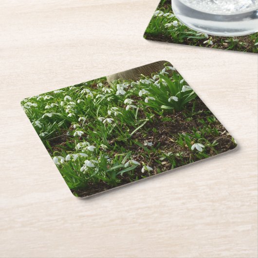 Snowdrops II (Galanthus) Spring Floral Kartonnen Onderzetters (Schuin)