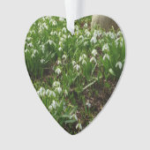 Snowdrops II (Galanthus) Spring Floral Ornament (voorkant)