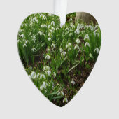 Snowdrops II (Galanthus) Spring Floral Ornament (voorkant)