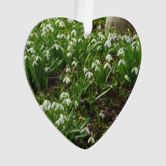 Snowdrops II (Galanthus) Spring Floral Ornament (voorkant)