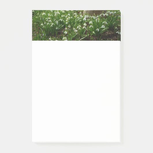 Snowdrops II (Galanthus) Spring Floral Post-it® Notes (Voorkant)