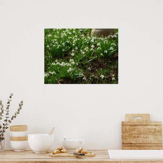 Snowdrops II (Galanthus) Spring Floral Poster (Keuken)