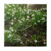 Snowdrops II (Galanthus) Spring Floral Tegeltje (Voorkant)