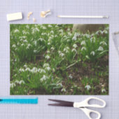 Snowdrops II (Galanthus) Spring Floral Tissuepapier (Craft)