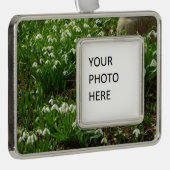 Snowdrops II (Galanthus) Spring Floral Verzilverd Omlijst Ornament (Rechts)