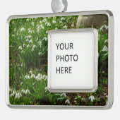 Snowdrops II (Galanthus) Spring Floral Verzilverd Omlijst Ornament (Links)