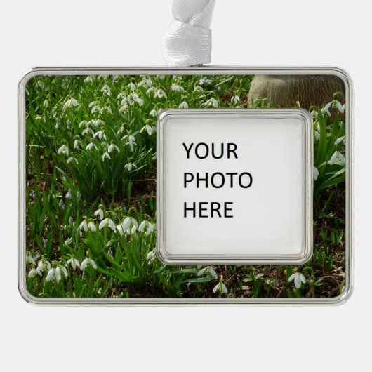 Snowdrops II (Galanthus) Spring Floral Verzilverd Omlijst Ornament (Voorkant)