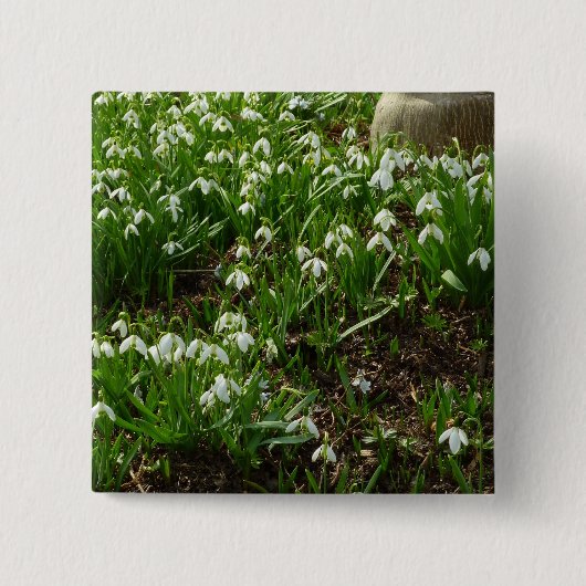 Snowdrops II (Galanthus) Spring Floral Vierkante Button 5,1 Cm (Voorkant)