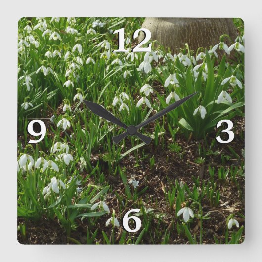 Snowdrops II (Galanthus) Spring Floral Vierkante Klok (Voorkant)