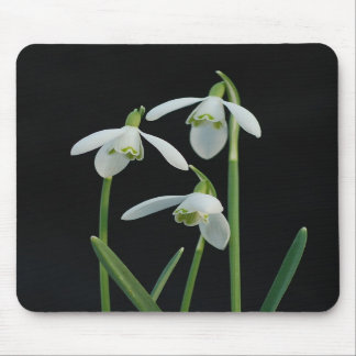 Snowdrops mousepad muismat