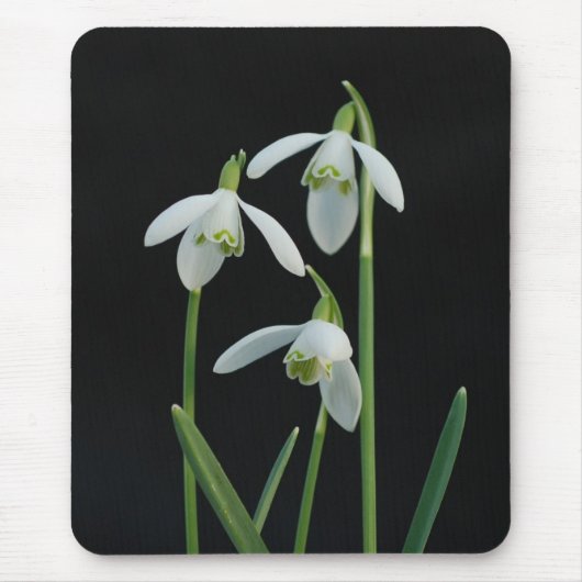 Snowdrops mousepad muismat (Voorkant)