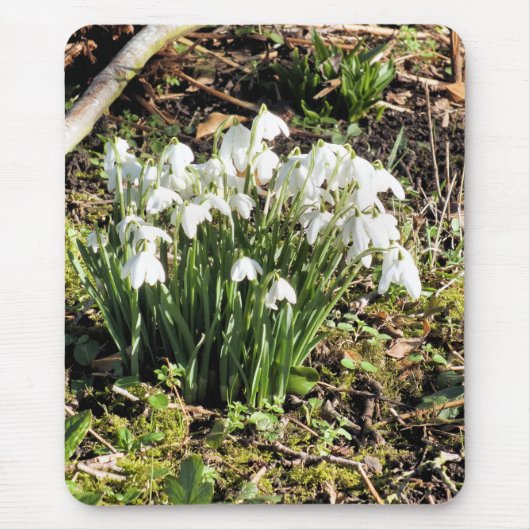 SNOWDROPS MUISMAT (Voorkant)
