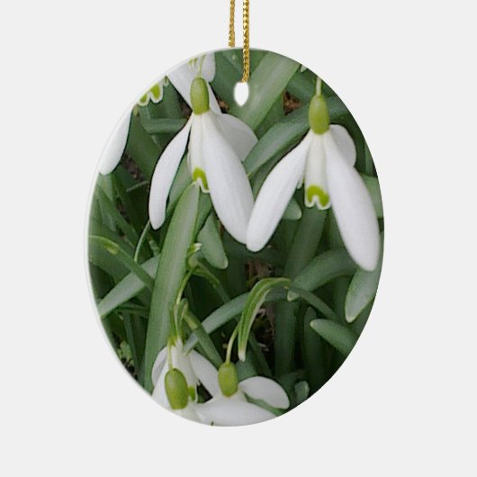 Snowdrops Ornament (Rechts)