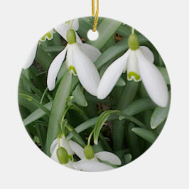 Snowdrops Ornament