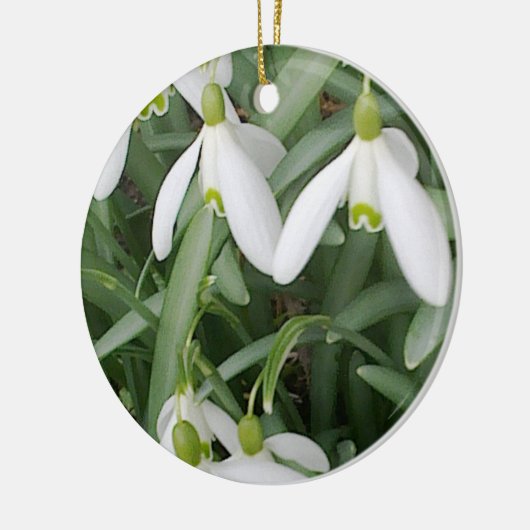 Snowdrops Ornament (Links)