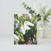 Snowdruppelbloemen Briefkaart (Staand voorkant)