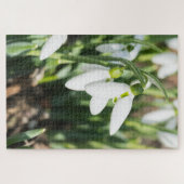 Snowdruppelbloemen Legpuzzel (Horizontaal)